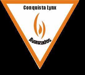 insigniaavanzados.jpg